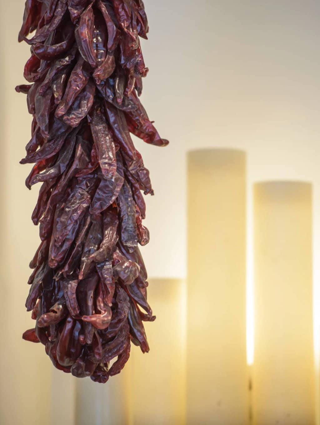 Vibrant & Cozy Atmosphere