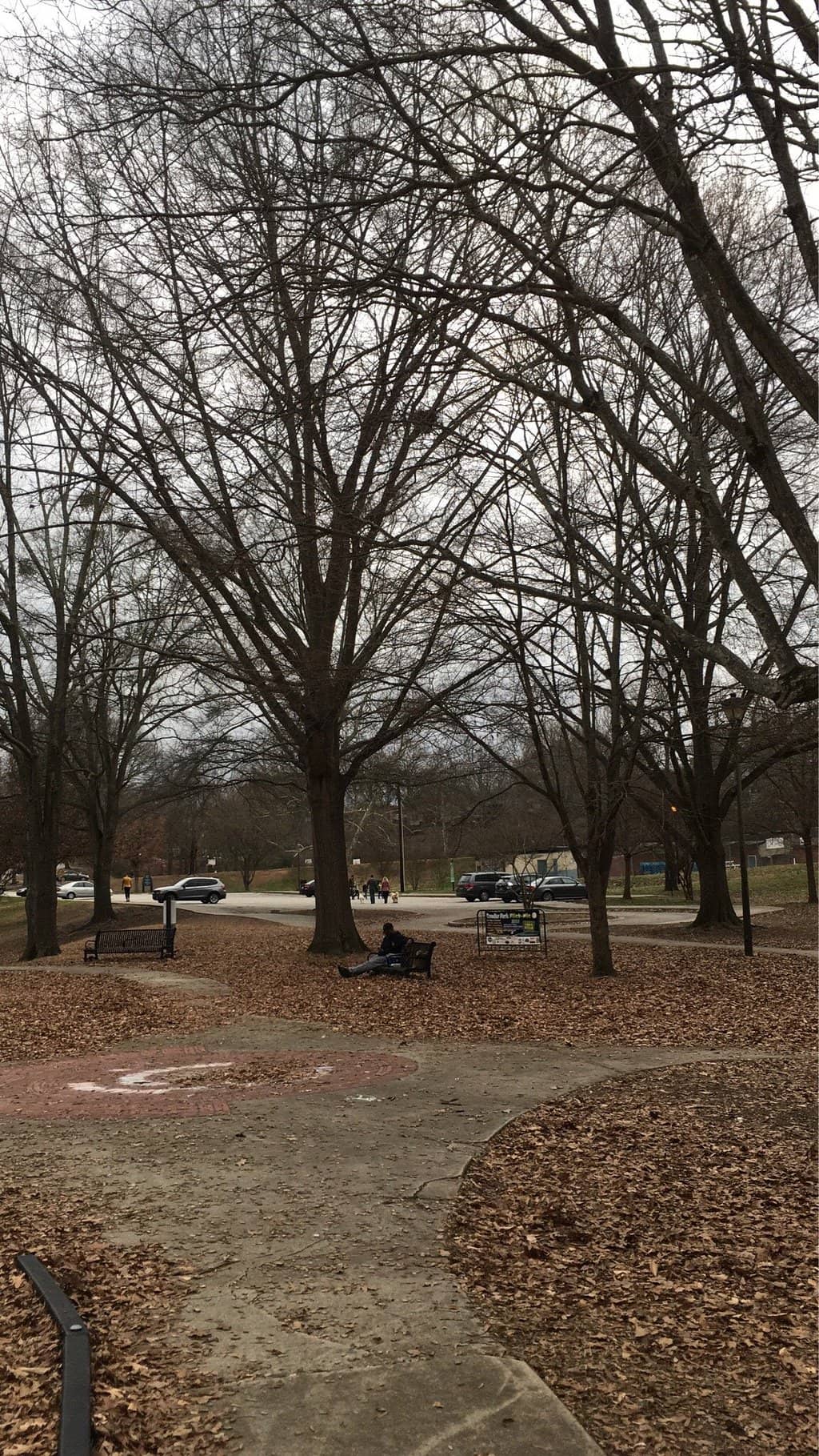 Community Fall Festival