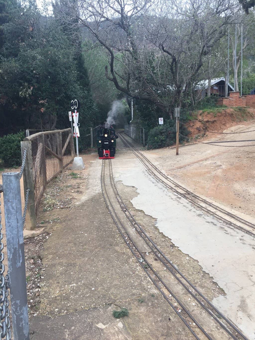 Mediterranean Forest