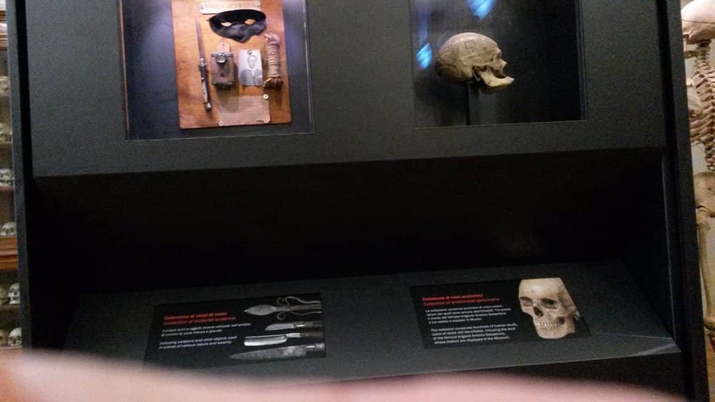 Lombroso's Theories Visualized