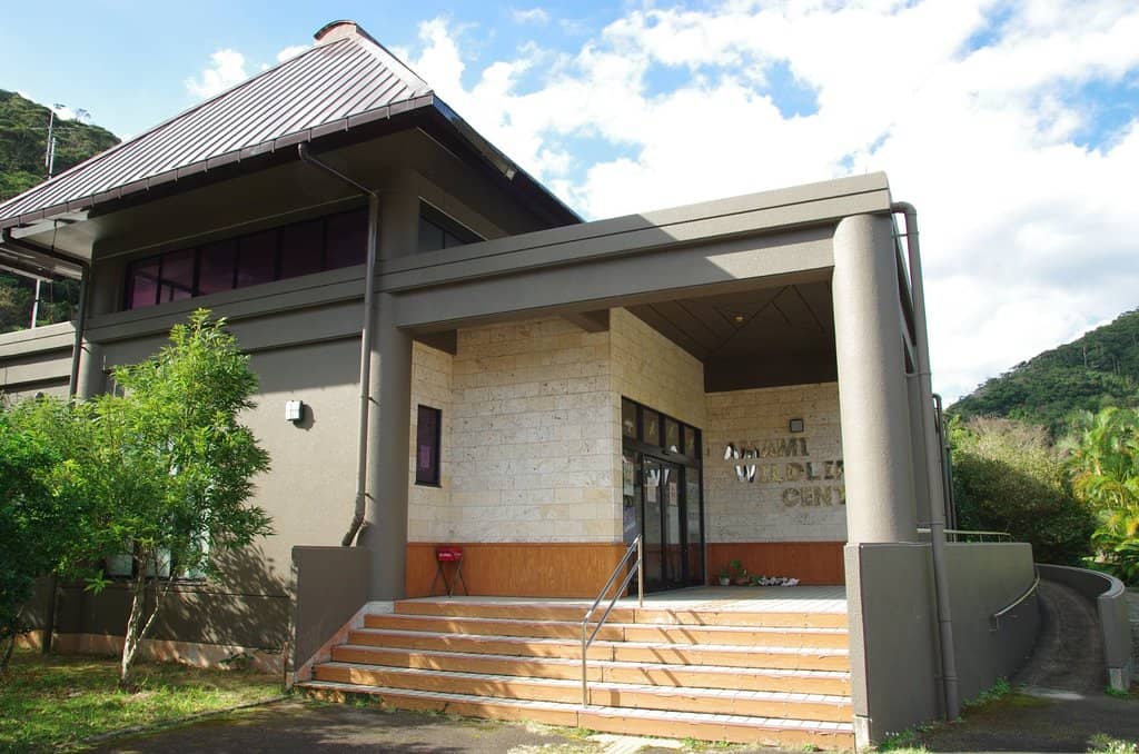 Mongoose Buster Program