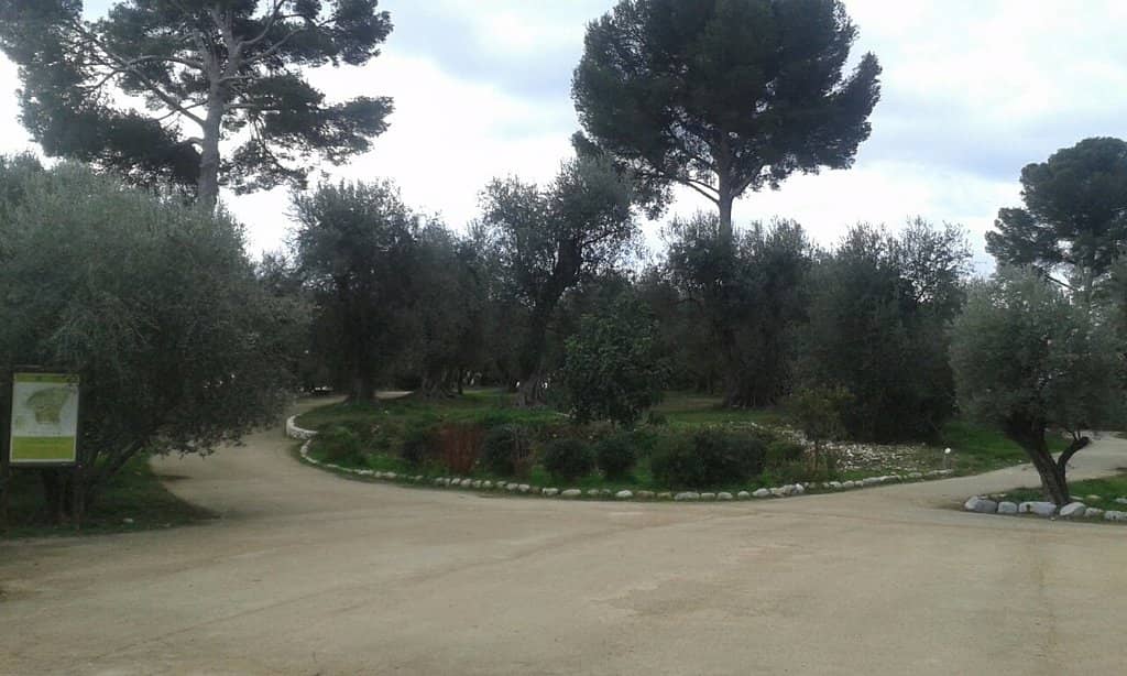 Tranquil Walking Trails