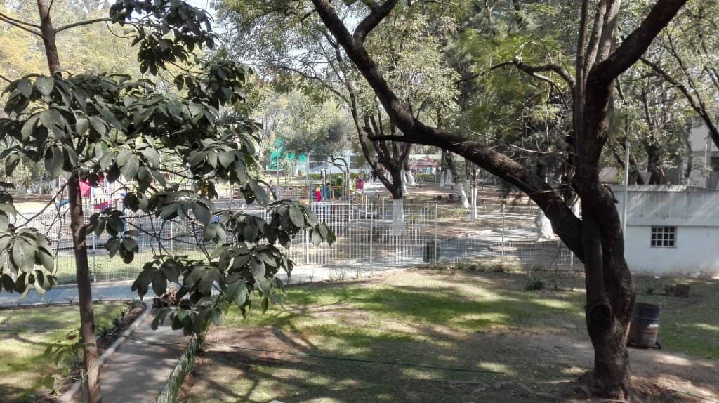 Tranquil Pond and Fountain