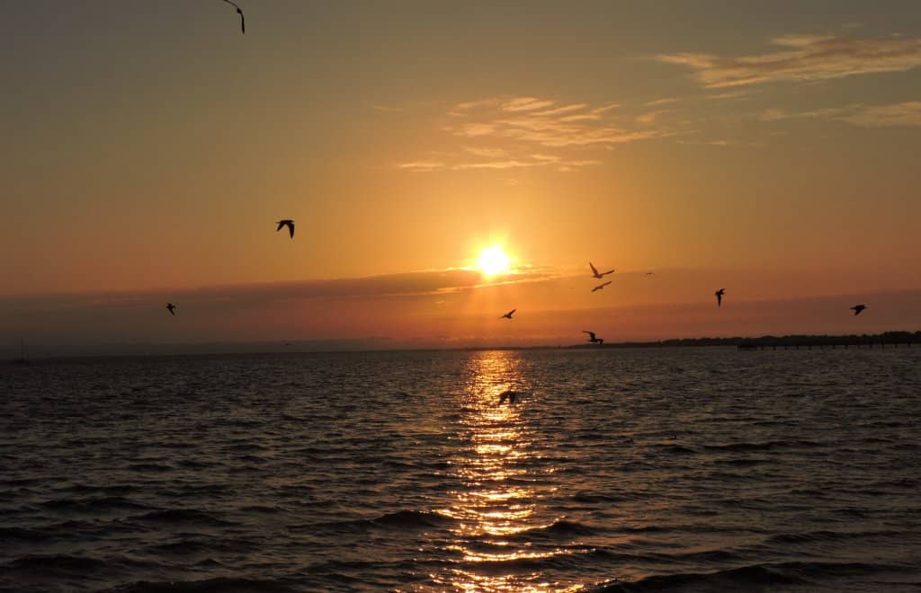 Covered Picnic Areas