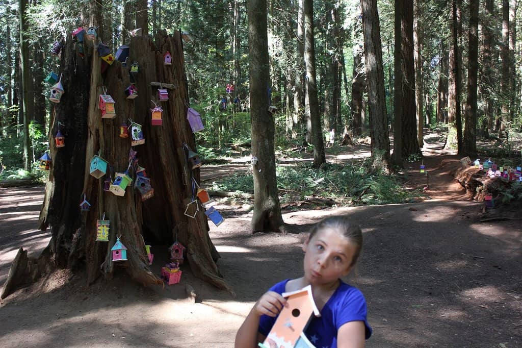 Enchanting Fairy Village