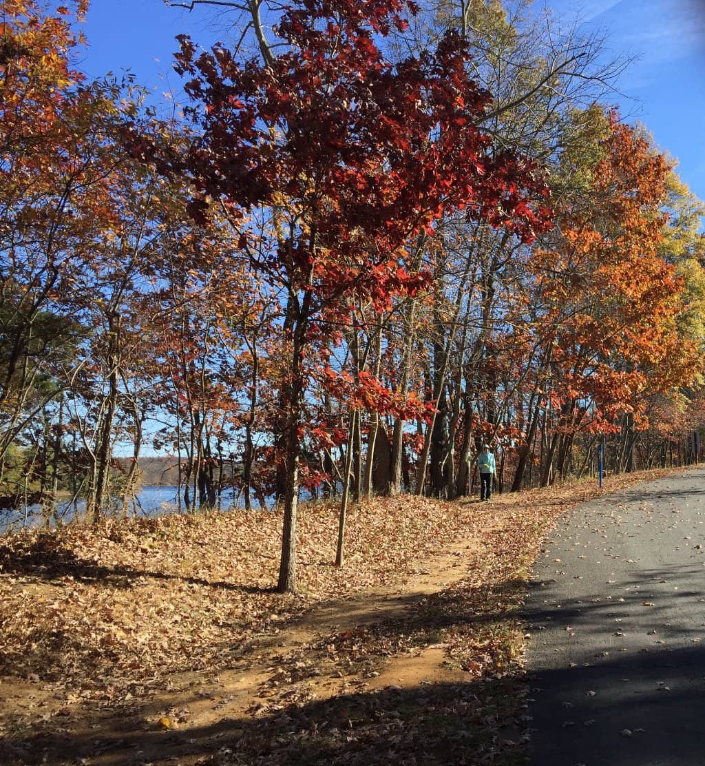 Playgrounds & Picnic Areas