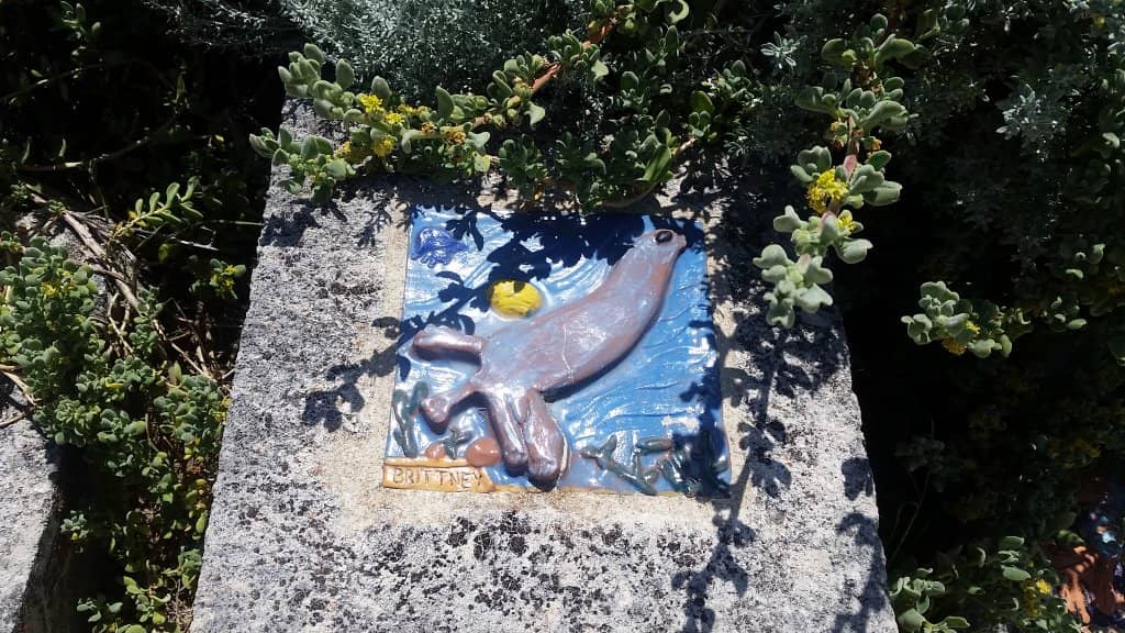 Pristine White Sands