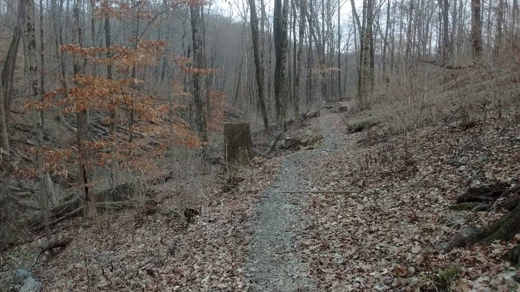 Paved Pathways