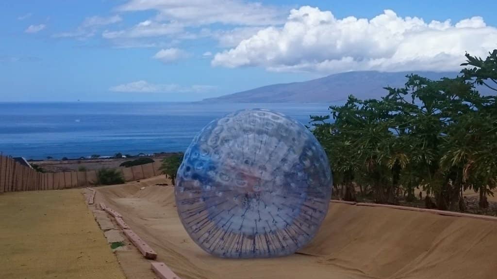 Tropical Fruit Tasting Tour