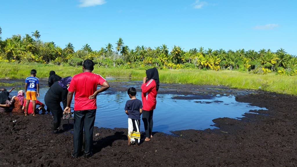 Lakeside Cafe Experience