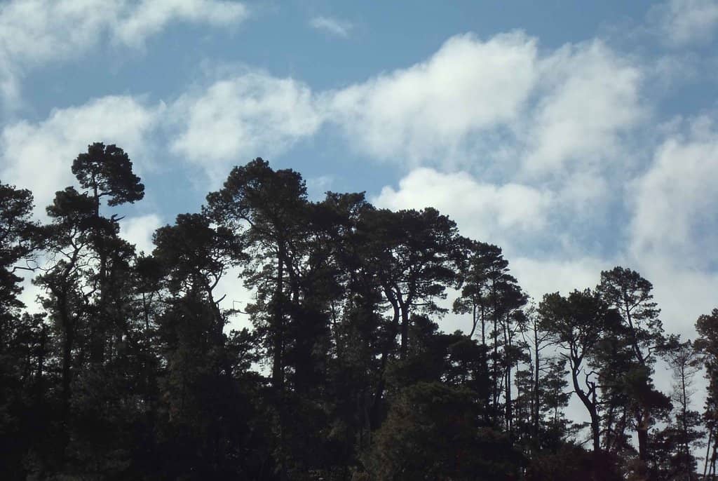 Vertical photo