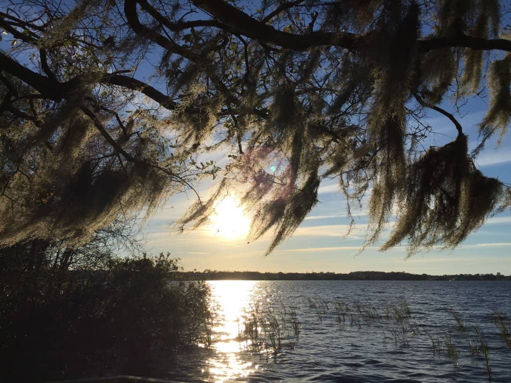 Playgrounds for All Ages