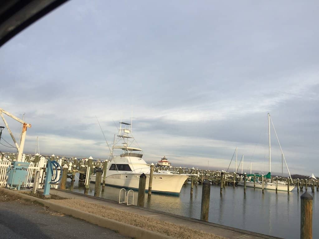 Tranquil Water Views