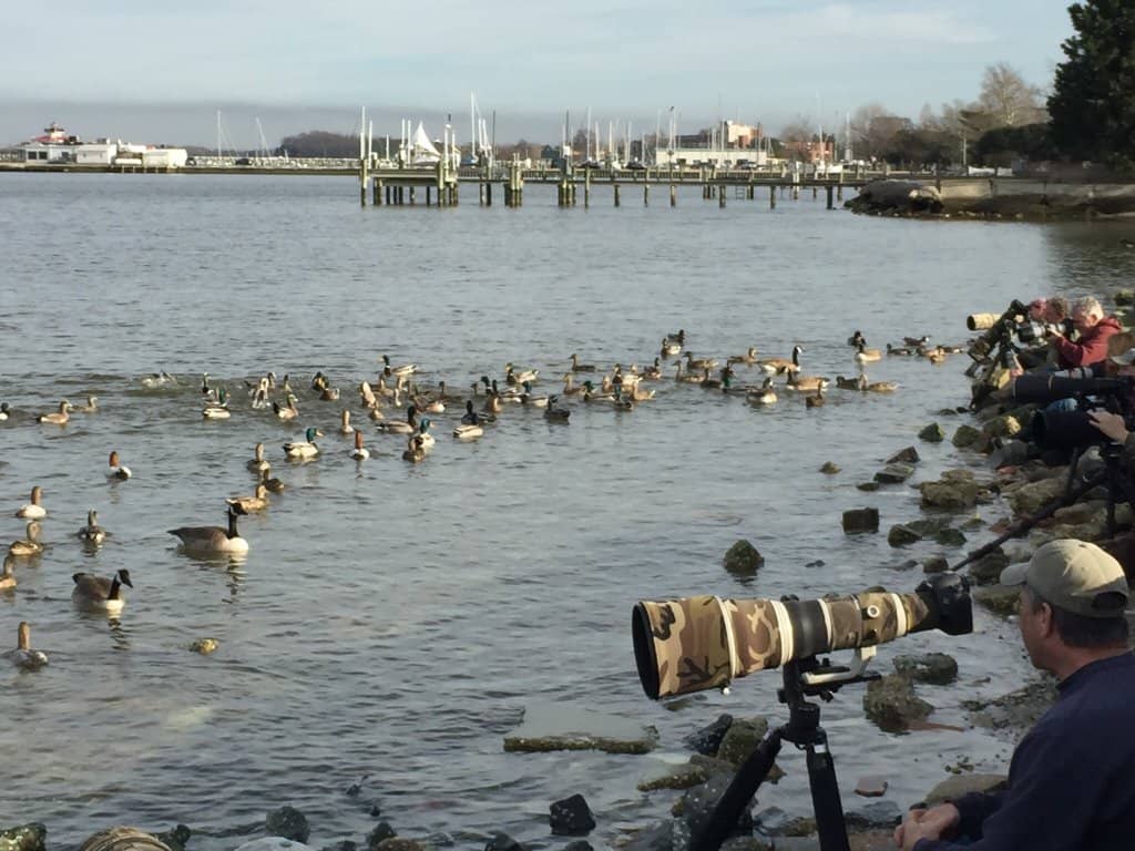Riverside Picnic Spots