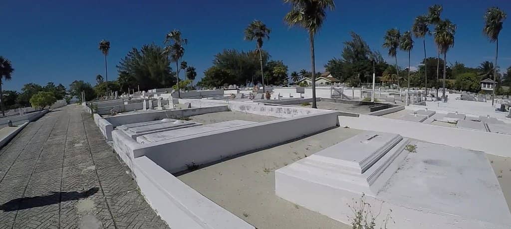 Abundant Marine Life