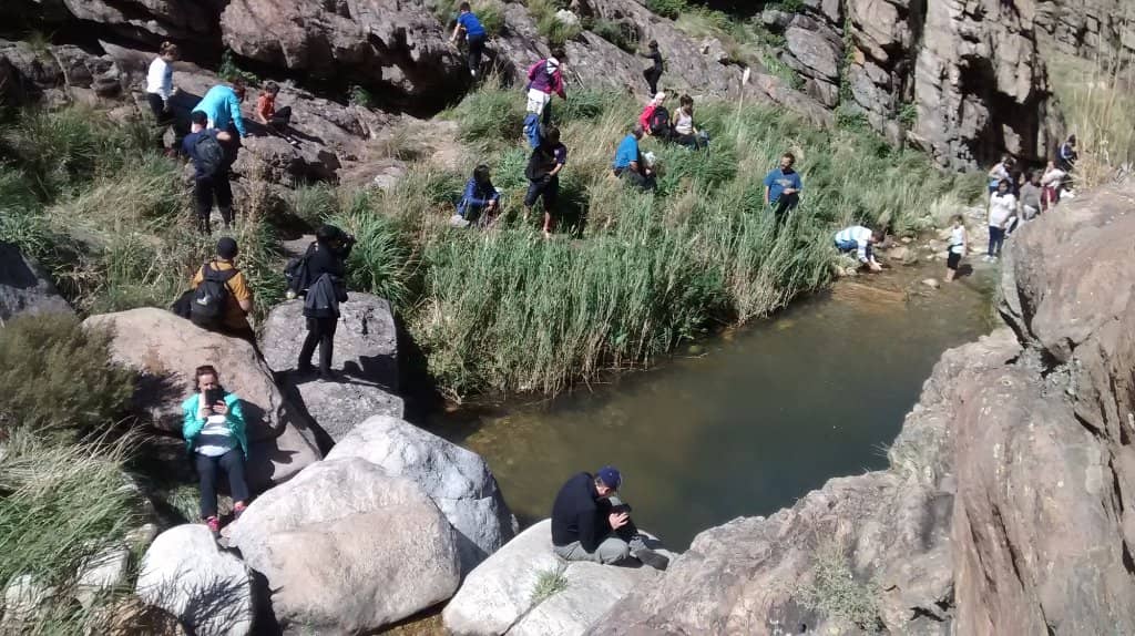 Natural Pools