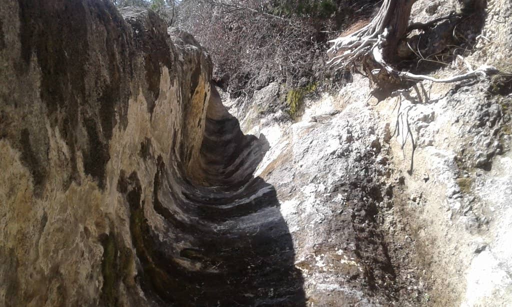 Little Springs Trail