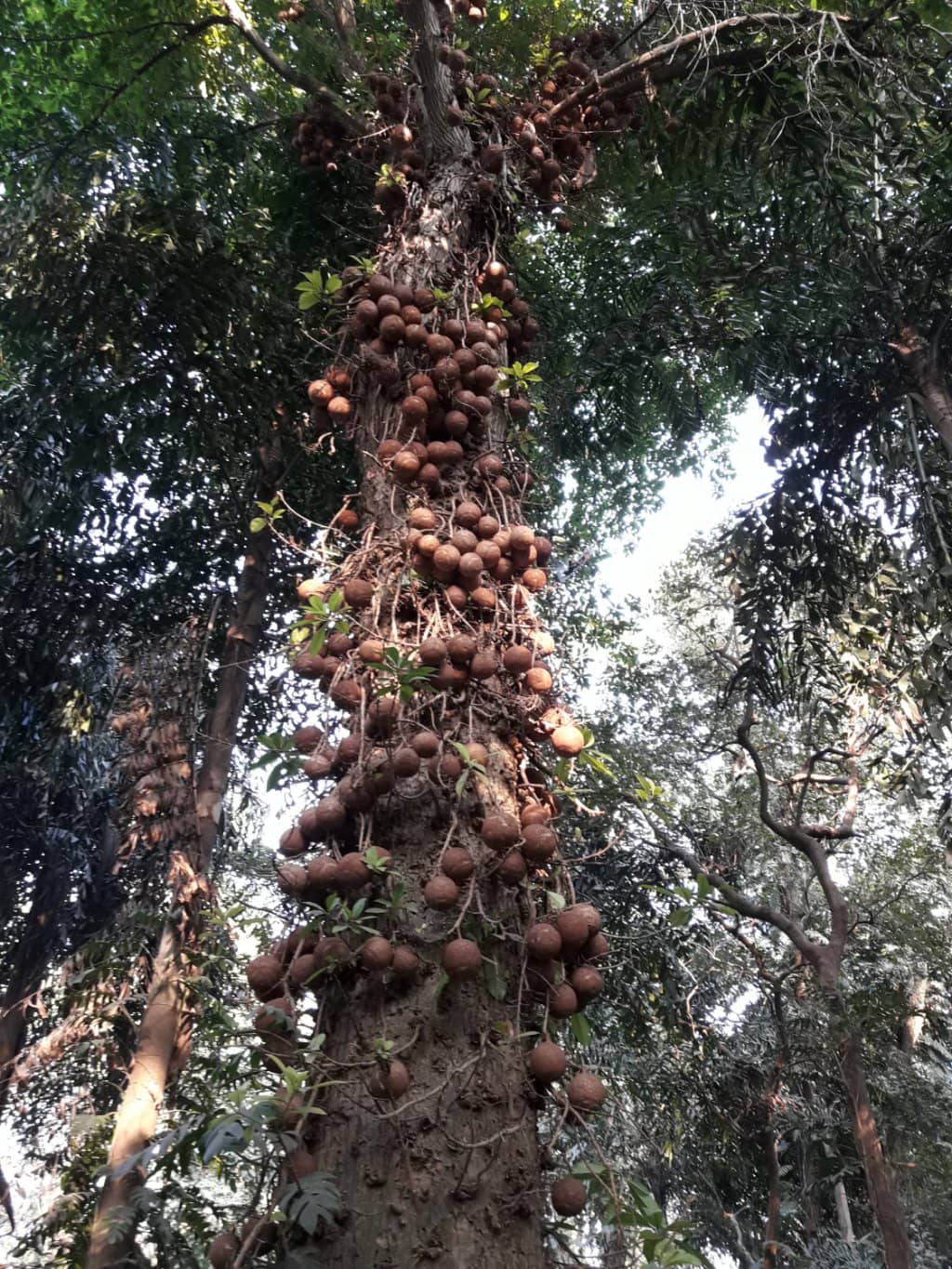 Scenic Riverside Ambiance