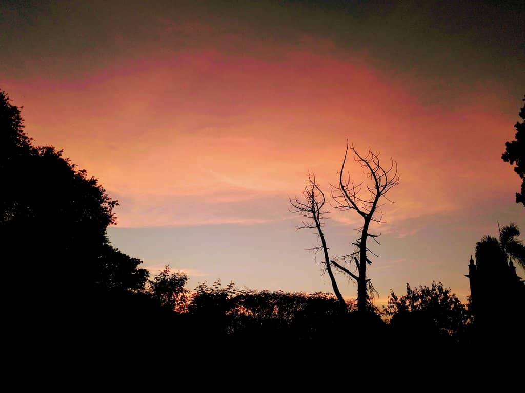 Vibrant Street Food 'Khau Galli'