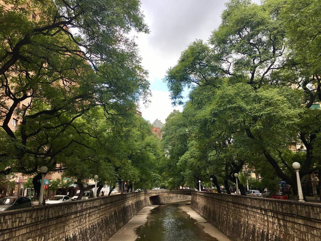 Street Art & Performances