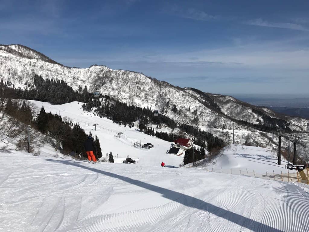 Groovy Cafe Delights