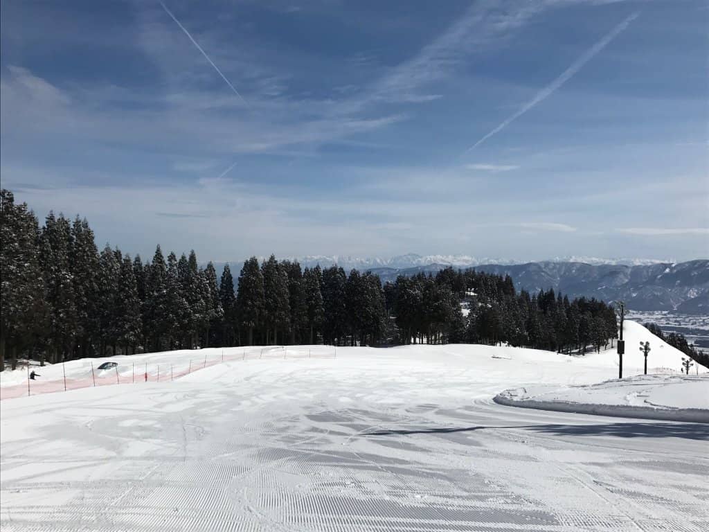 Beginner-Friendly Slopes