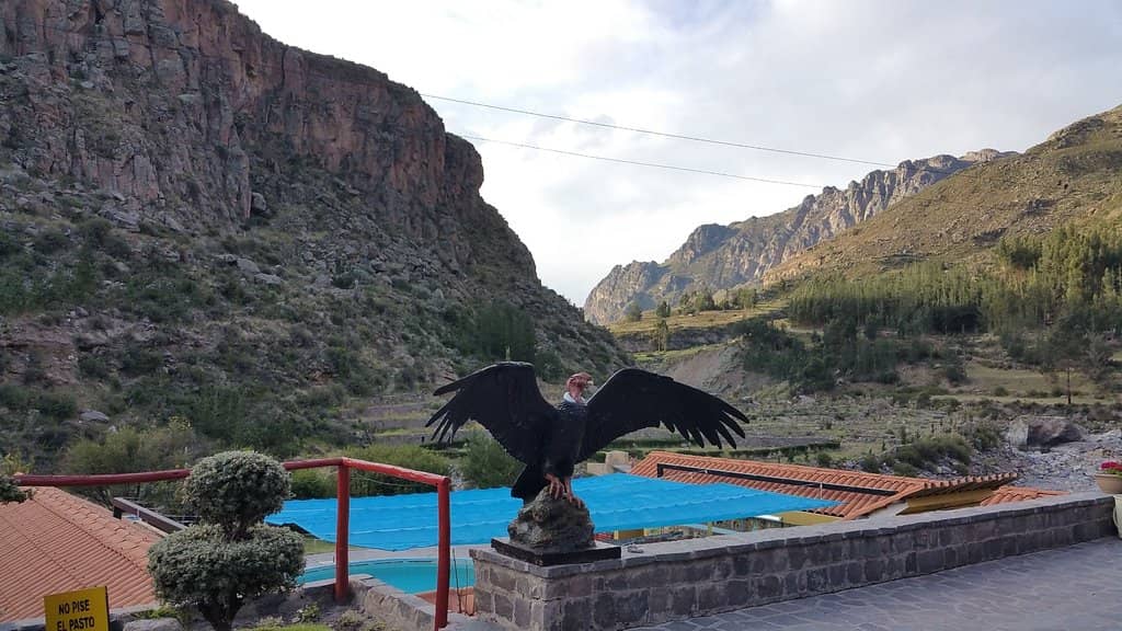 Andean Scenery