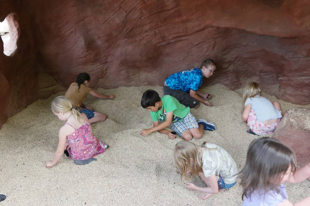 Green Spaces for Relaxation