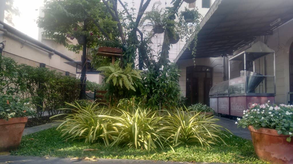 Gaushala (Cow Shelter)