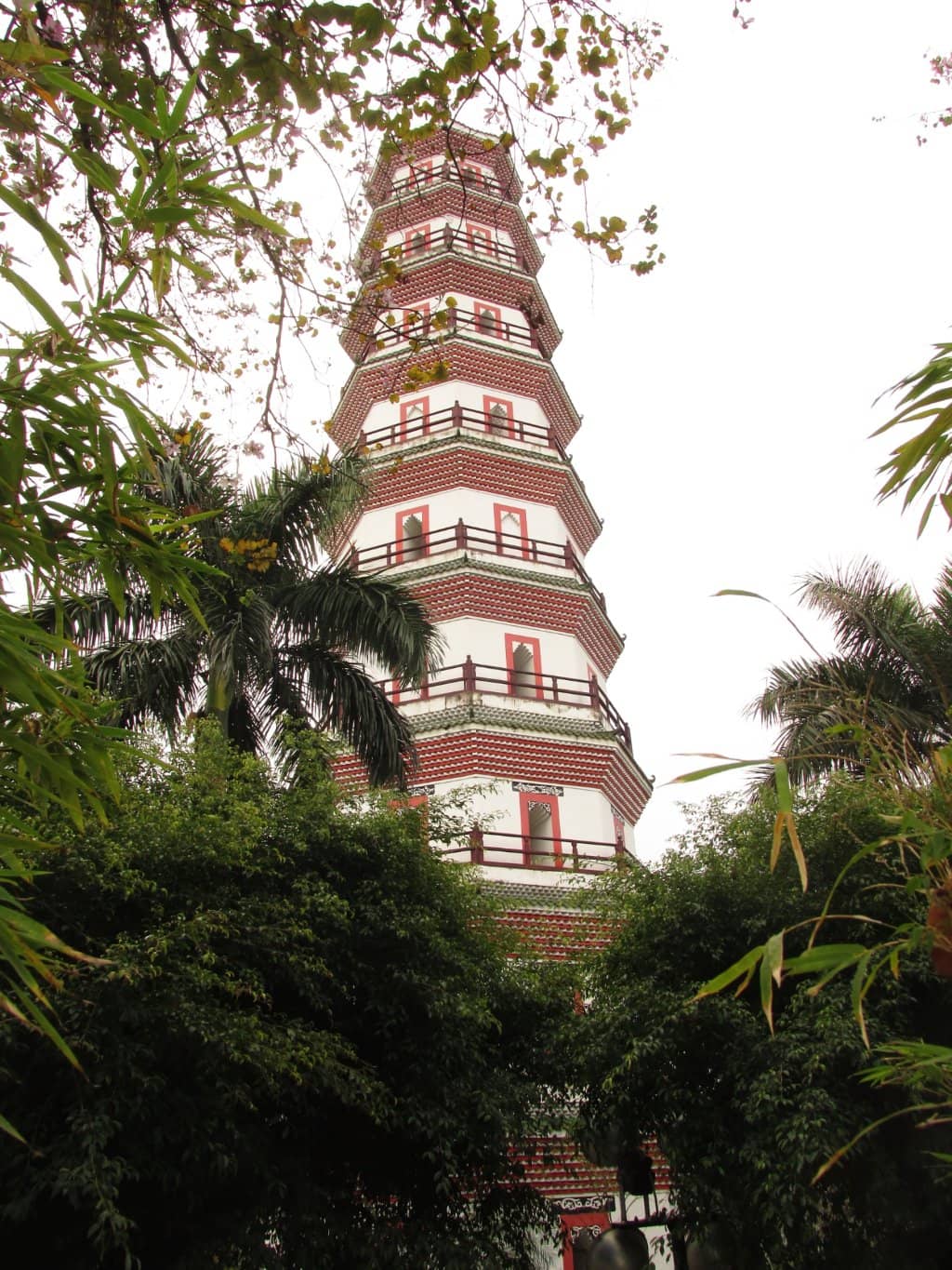 Surrounding Gardens