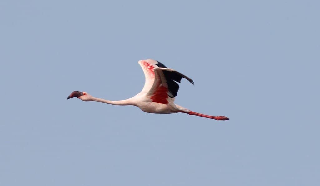 Boat Ride on Thane Creek