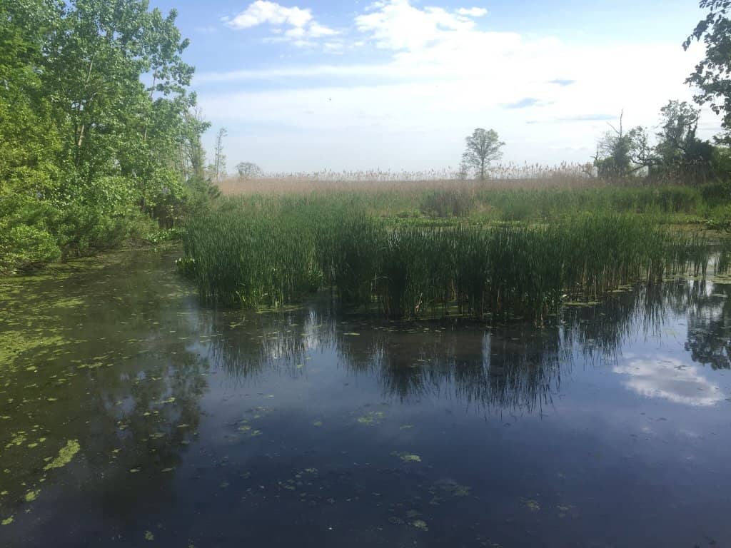 Visitor Center & Exhibits