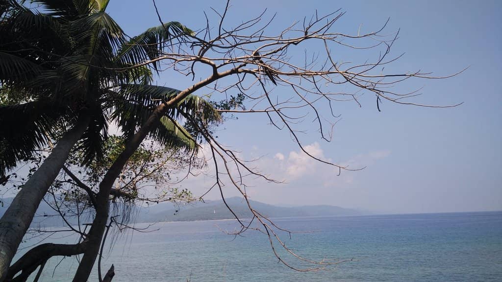 Scenic Coastal Views
