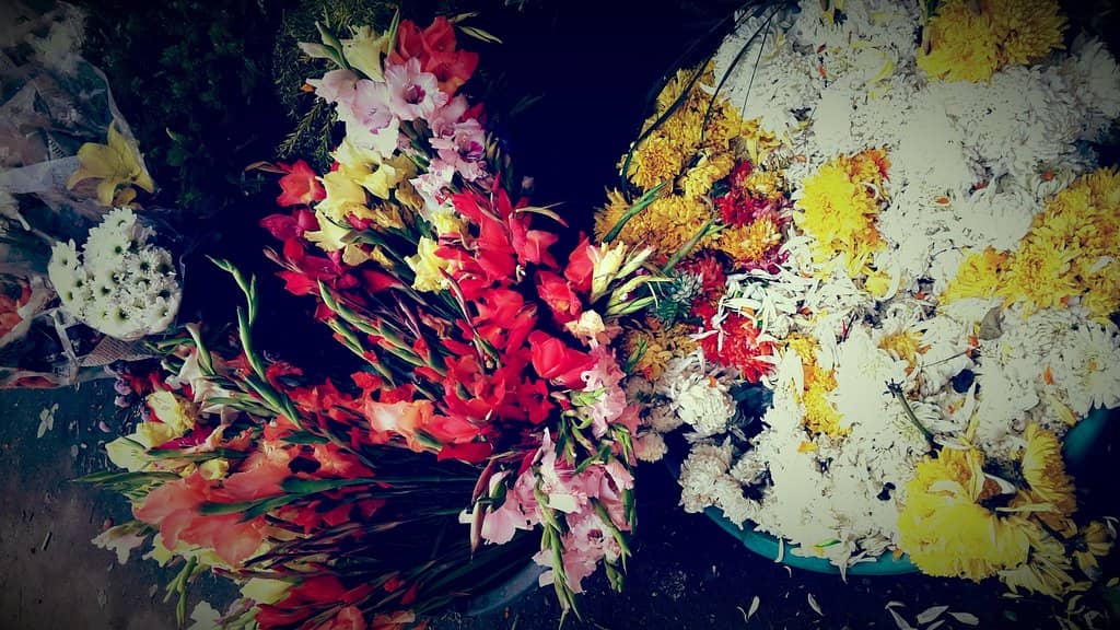 Mekhela Sador Paradise
