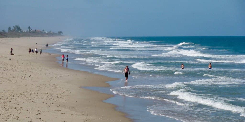 Abundant Wildlife Sightings