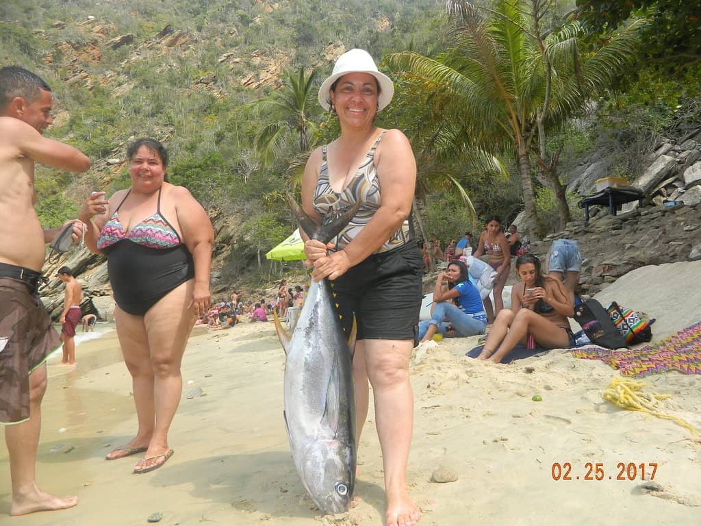 Serene Coastal Views