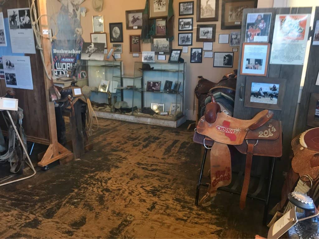 Friendly & Knowledgeable Staff