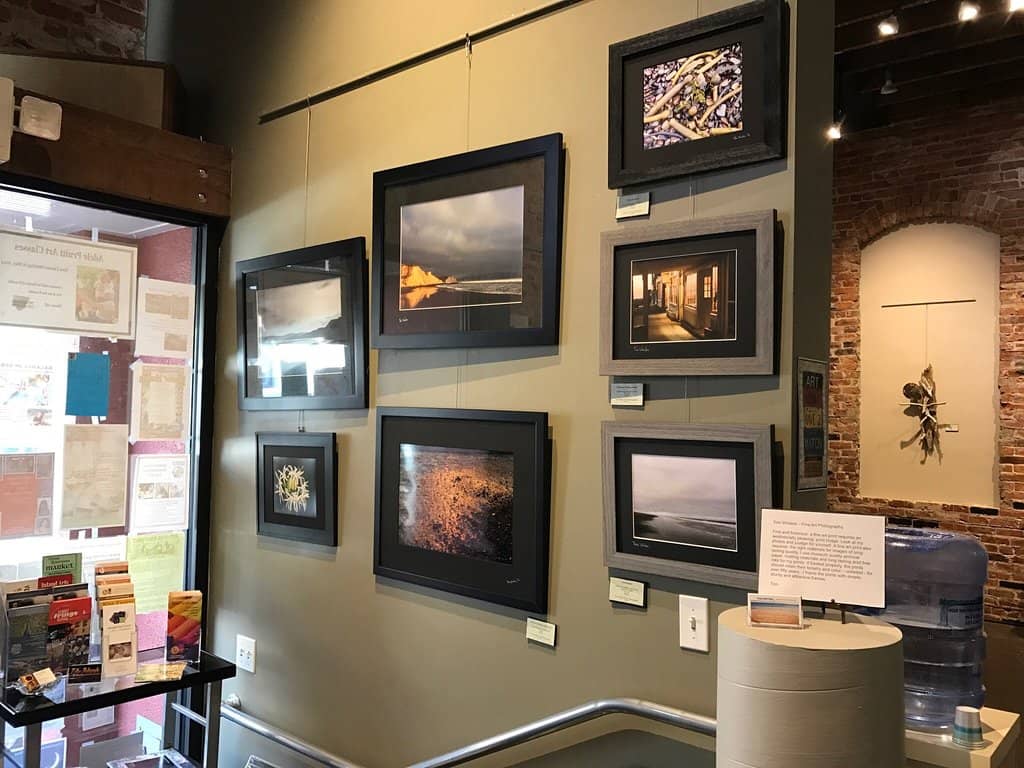 Monthly Art Exhibitions