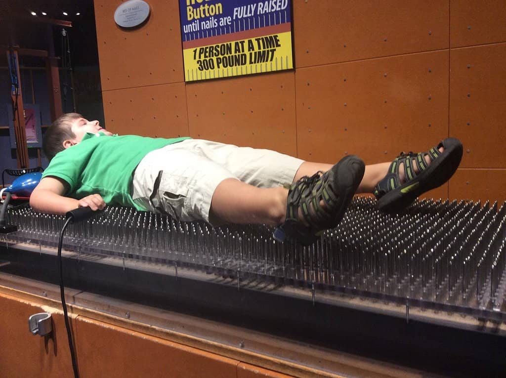 Aquarium & Touch Tanks