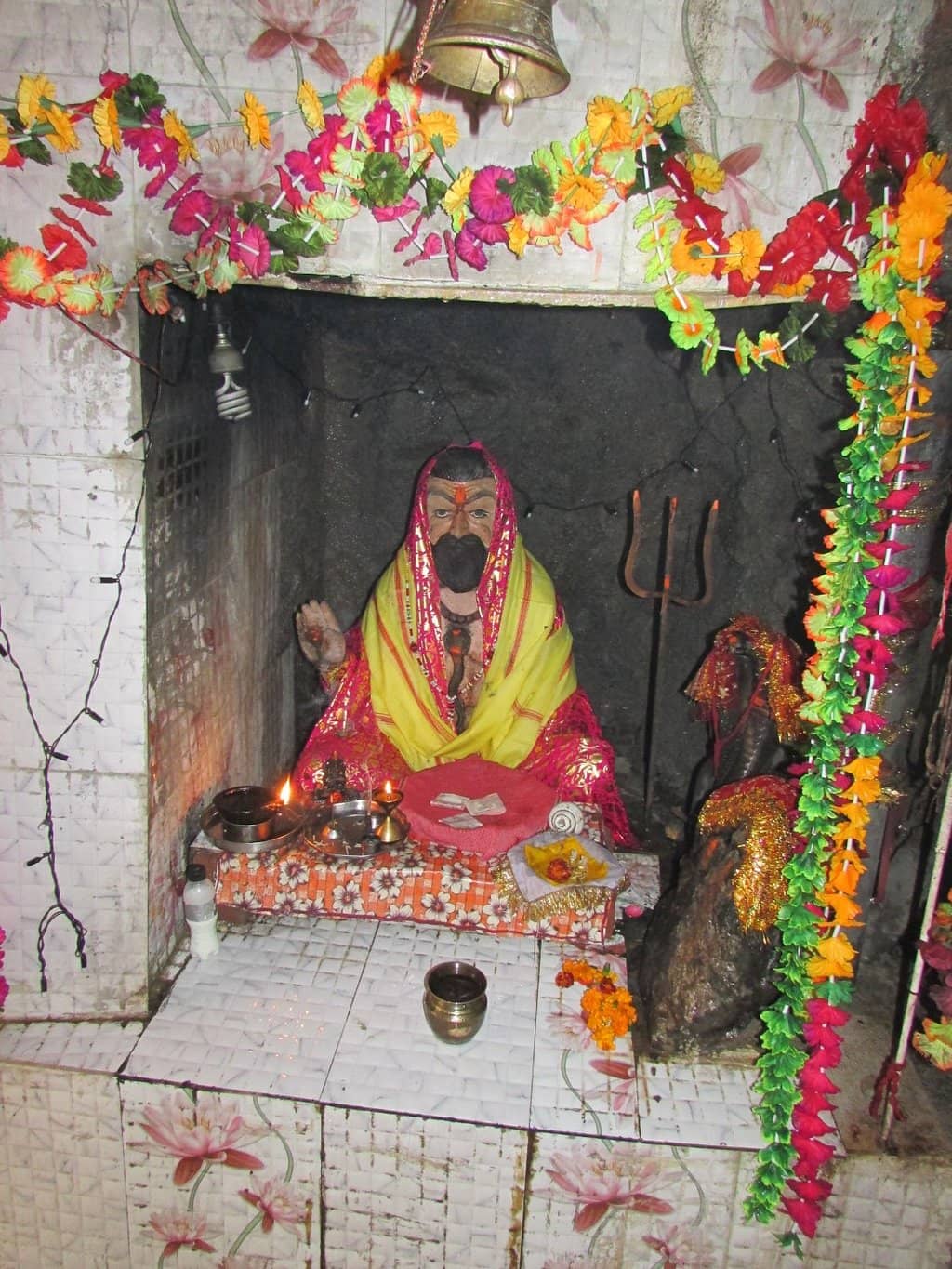 Picturesque Green Surroundings