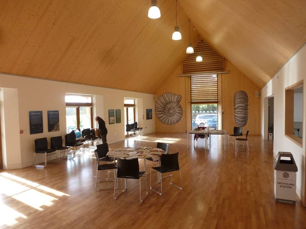 Steve Etches' Fossil Collection