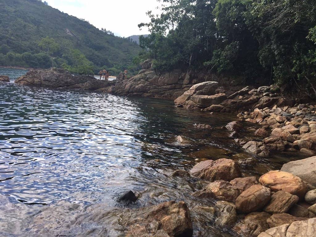 Scenic Coastal Trail