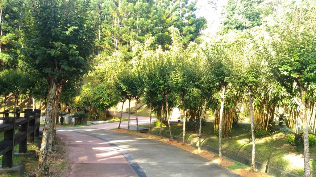 Well-Maintained Trails