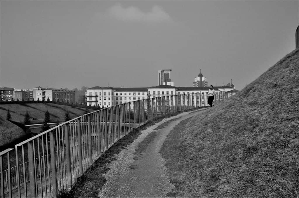 Sculptural Landscaping