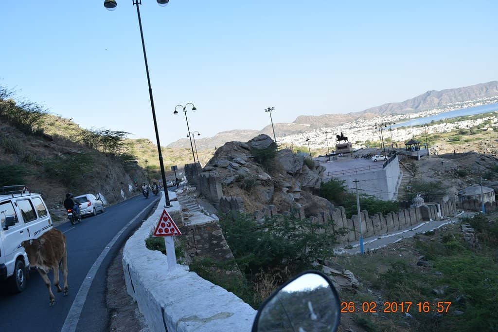 Vertical photo
