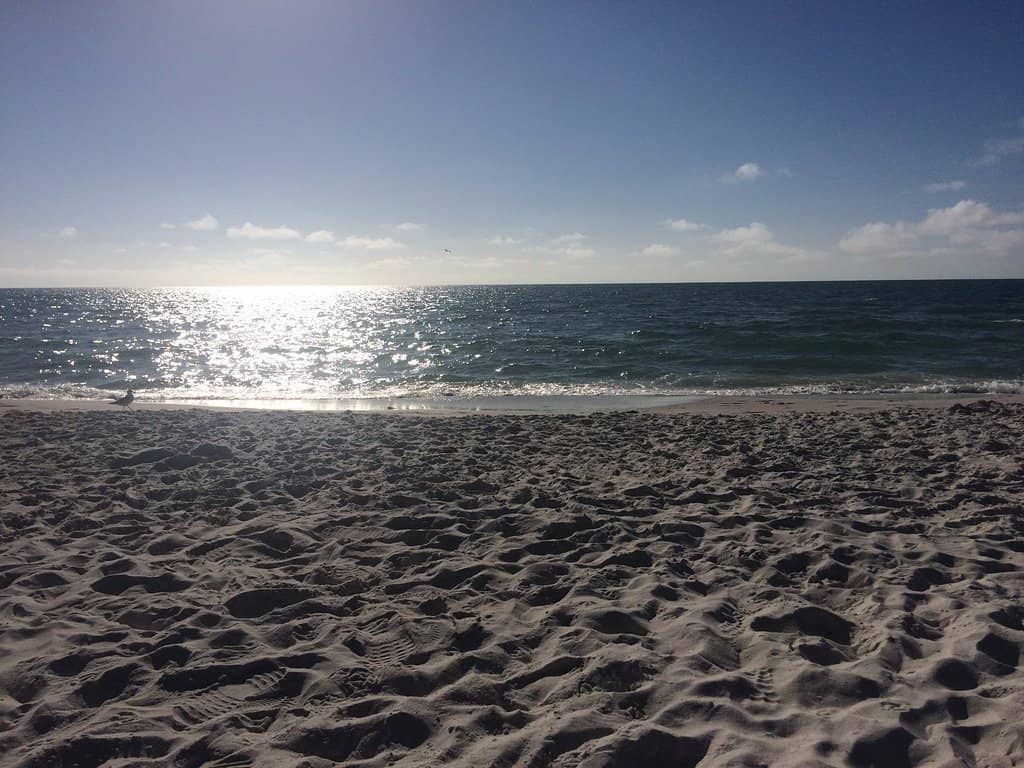 Beach Volleyball Action