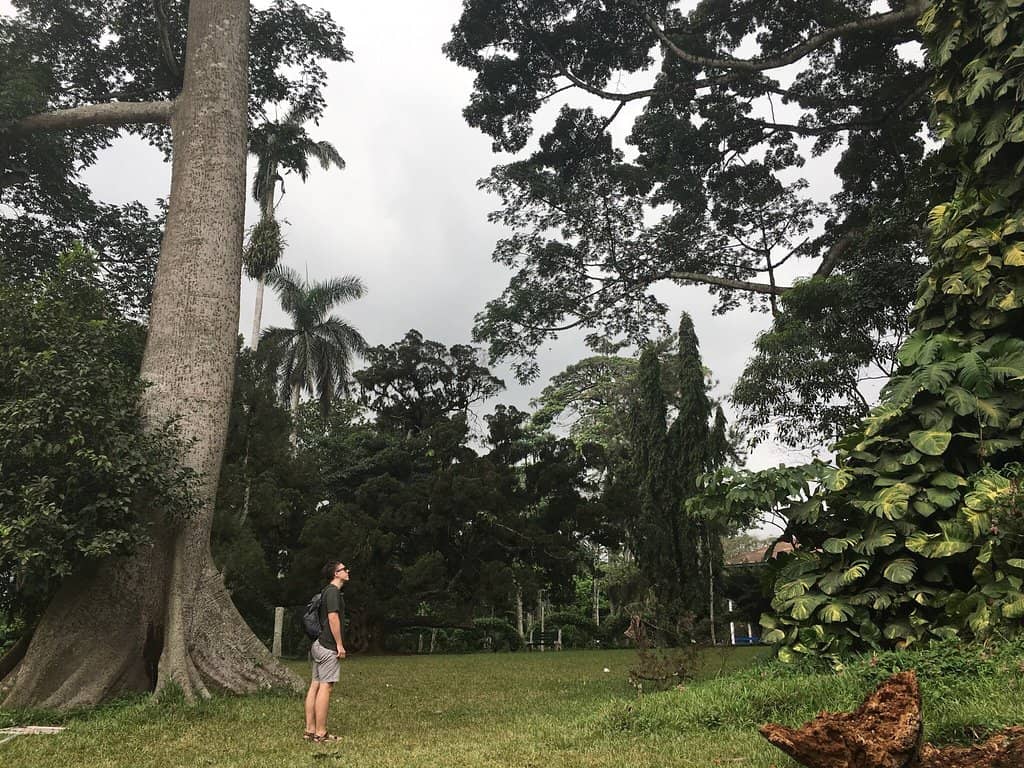 Picnic Spots & Relaxation