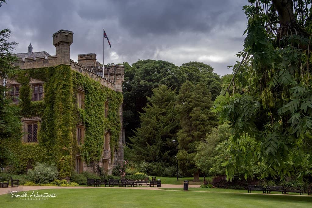 Highlights