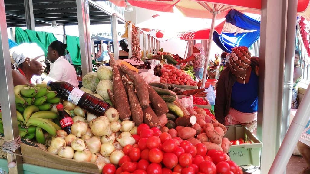 Electronics & Second-Hand Bargains