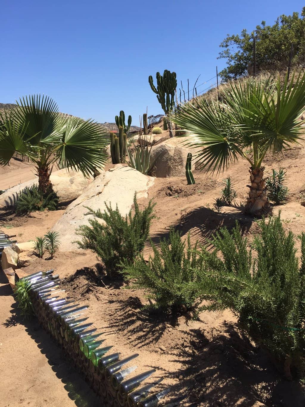 Picturesque Patio Setting